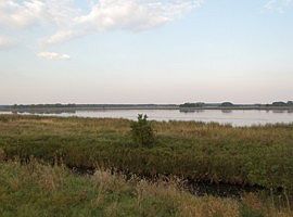 Blick auf das Vogelschutzgebiet Rietzer See